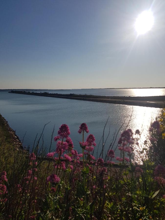 La Rose Des Sables, T2 A La Mer, Terrasse Et Garage Frontignan Zewnętrze zdjęcie
