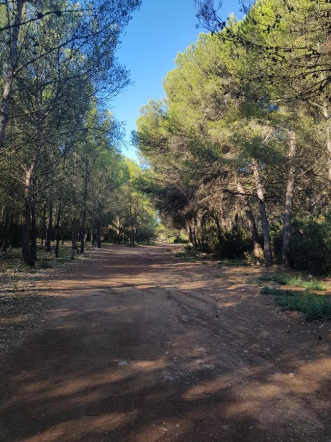 La Rose Des Sables, T2 A La Mer, Terrasse Et Garage Frontignan Zewnętrze zdjęcie