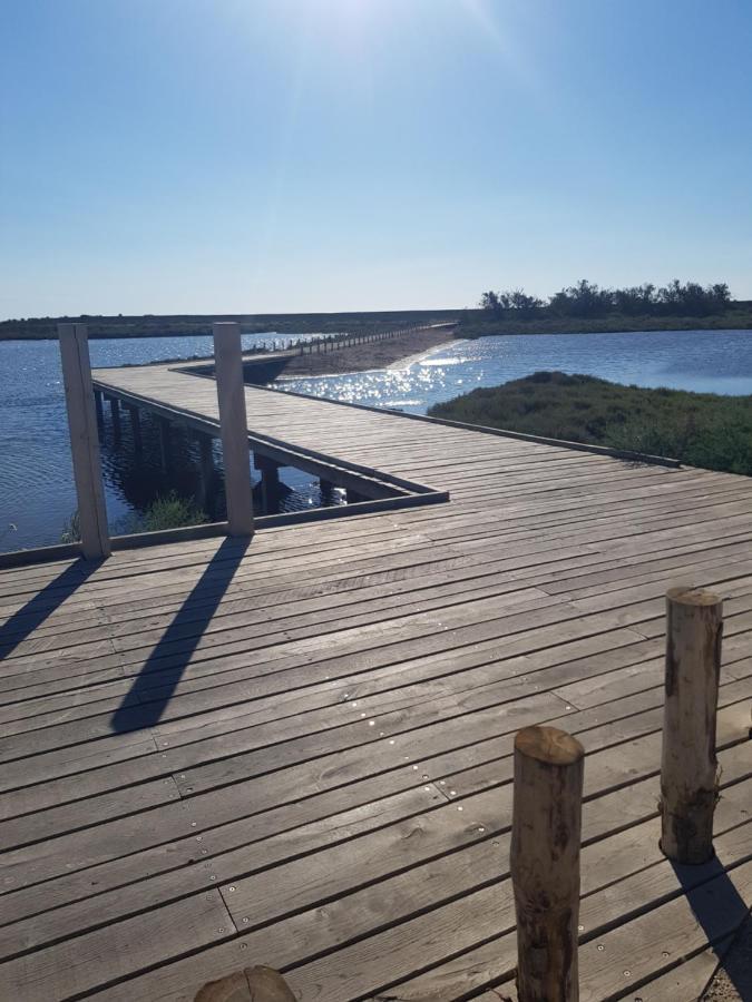 La Rose Des Sables, T2 A La Mer, Terrasse Et Garage Frontignan Zewnętrze zdjęcie