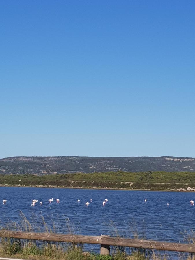 La Rose Des Sables, T2 A La Mer, Terrasse Et Garage Frontignan Zewnętrze zdjęcie