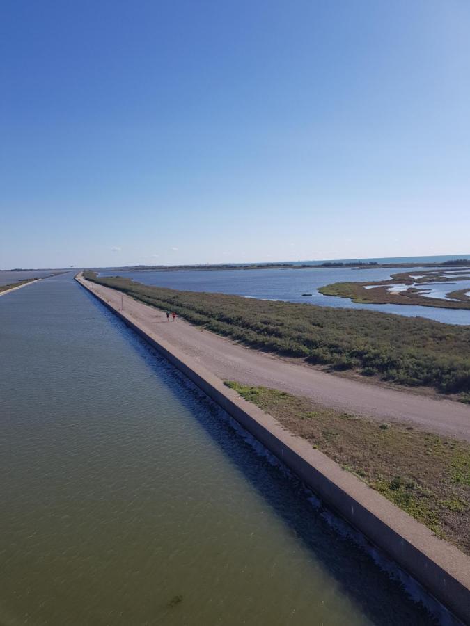 La Rose Des Sables, T2 A La Mer, Terrasse Et Garage Frontignan Zewnętrze zdjęcie